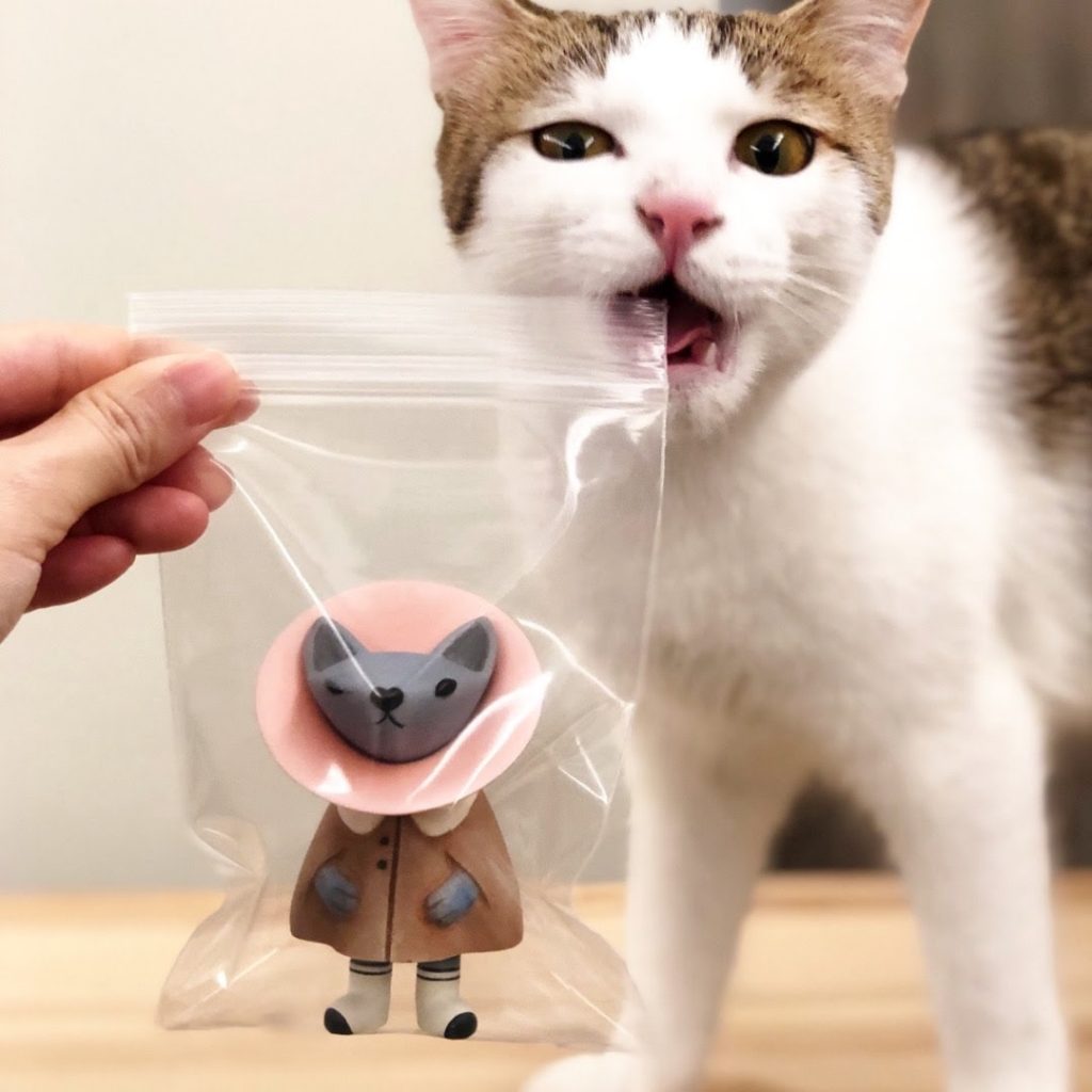 Nora Boof Fufufanny Kao Resin Toy